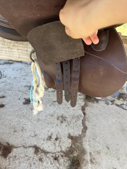 Sella mista Forestier Modèle club  17" - 2024