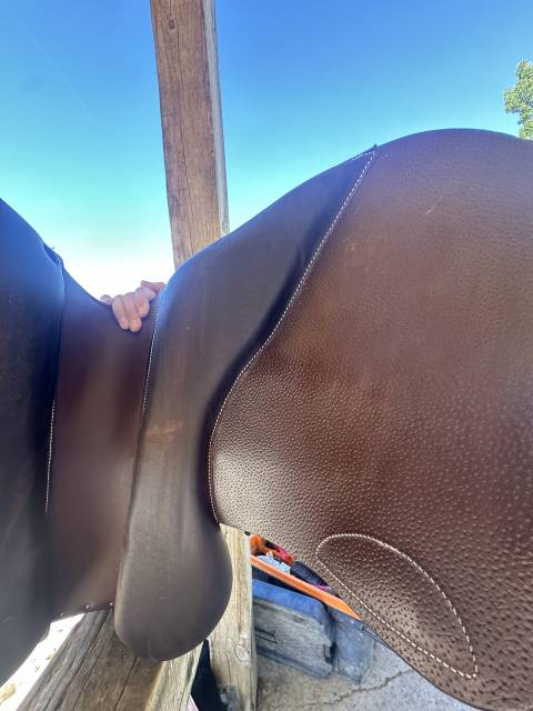 Sella mista Forestier Modèle club  17" - 2024