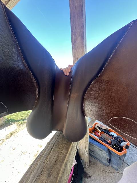 Sella mista Forestier Modèle club  17" - 2024