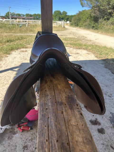 Sella mista Forestier Modèle club  17" - 2024