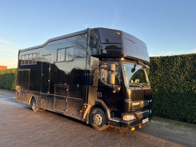 Camion per Cavalli Daf LF 2010 Occasione