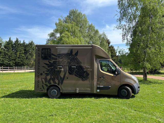 Van per Cavalli Cavalcar OPEL 2018 Occasione