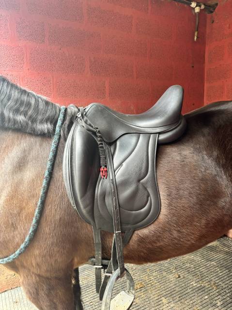 Sella da dressage Antarès  17" - 2018