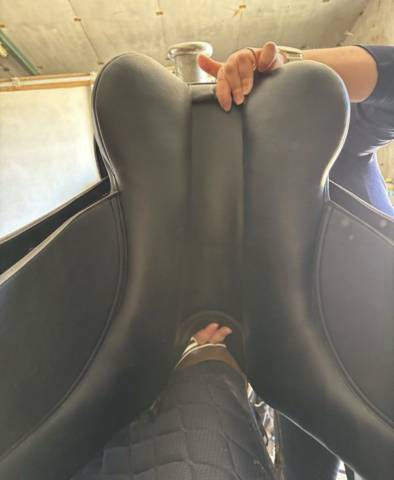 Sella da dressage  Lexys 15" - 2024