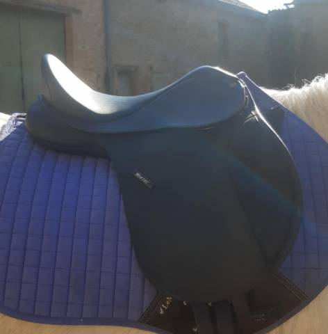 Sella Junior / Sella Pony Wintec  14" - 2019