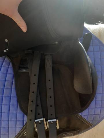 Sella Junior / Sella Pony Wintec  14" - 2019