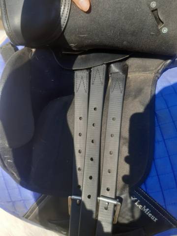 Sella Junior / Sella Pony Wintec  14" - 2019