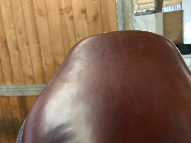 Sella da salto ostacoli CWD  17.5" - 2019