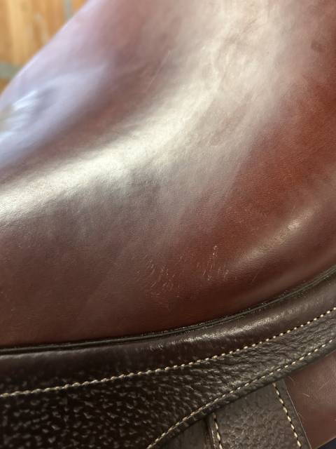 Sella da salto ostacoli CWD  17.5" - 2019