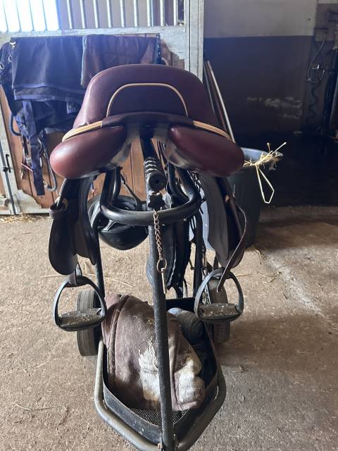 Sella da salto ostacoli CWD  17.5" - 2019