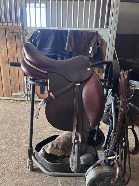 Sella da salto ostacoli CWD  17.5" - 2019