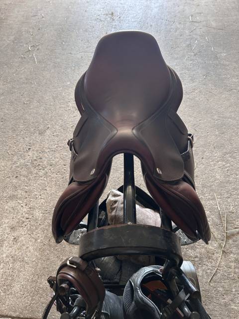 Sella da salto ostacoli CWD  17.5" - 2019