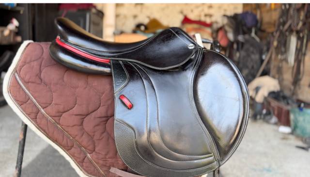 Sella da salto ostacoli CWD  17.5" - 2022