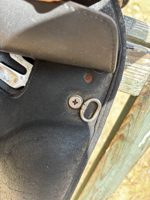 Sella da dressage Wintec  17" - 2018