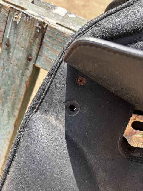 Sella da dressage Wintec  17" - 2018