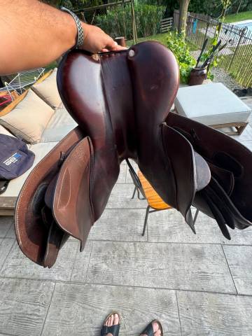 Sella da salto ostacoli GBS  17" - 2017