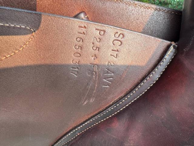 Sella da salto ostacoli GBS  17" - 2017