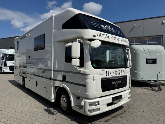 Camion per Cavalli Man MAN 0 Occasione