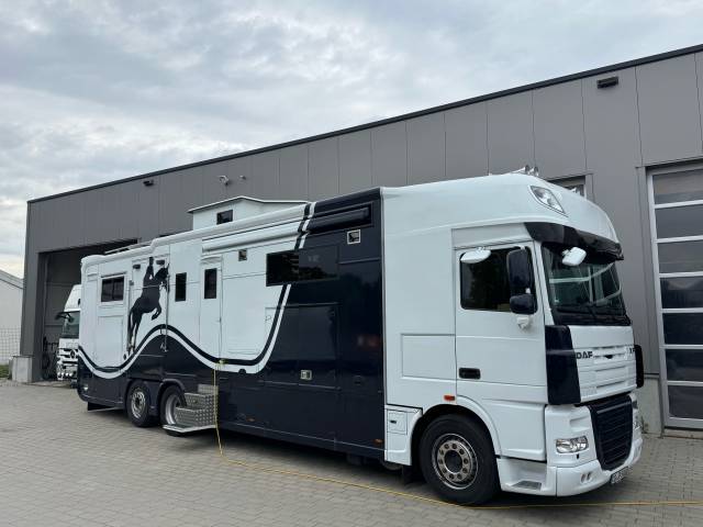 Camion per Cavalli Daf DAF 0 Occasione