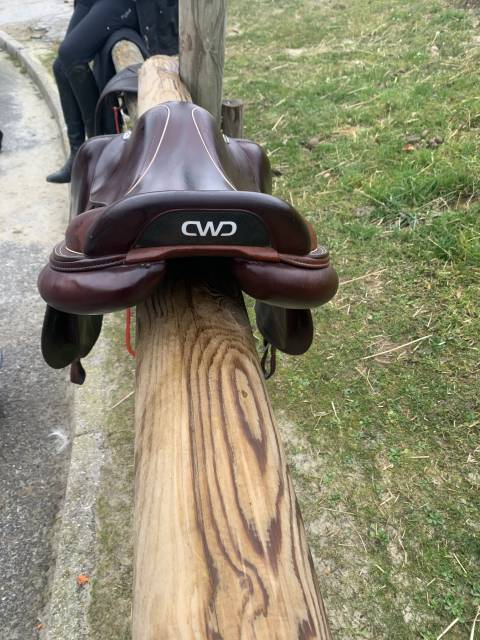 Sella da salto ostacoli CWD  18" - 2021