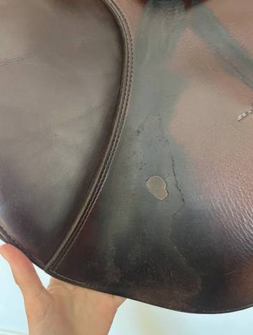 Sella mista Prestige Italia  17" - 2010