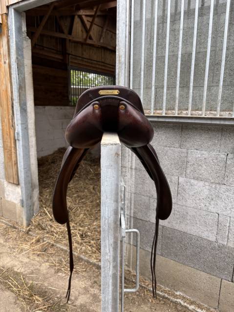 Sella da dressage Butet  17" - 2017