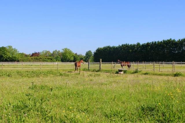Proprietà equestre In vendita Charente-Maritime