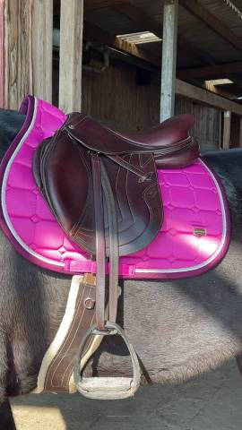 Sella da salto ostacoli CWD  17" - 2016