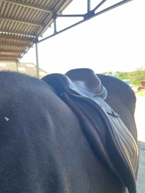 Sella da salto ostacoli CWD  17" - 2016