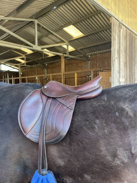 Sella da salto ostacoli CWD  17" - 2016