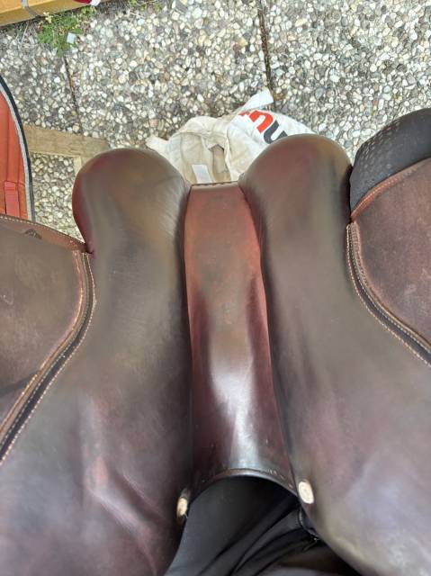 Sella da salto ostacoli CWD  17" - 2016