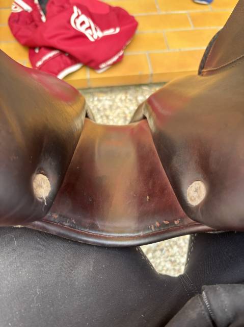 Sella da salto ostacoli CWD  17" - 2016