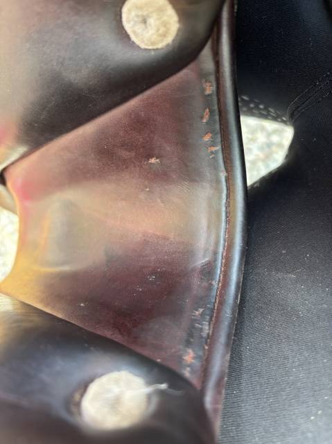 Sella da salto ostacoli CWD  17" - 2016