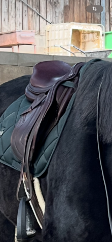 Sella da salto ostacoli CWD  17" - 2016