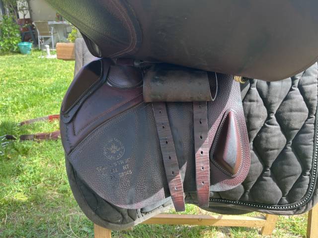 Sella da salto ostacoli CWD  17.5" - 2021