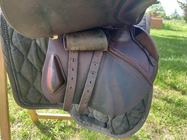 Sella da salto ostacoli CWD  17.5" - 2021