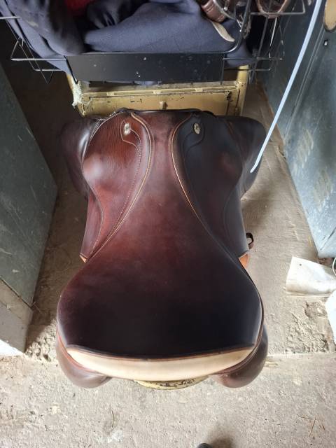 Sella da salto ostacoli Prestige Italia Sydney 17" - 2008