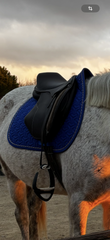 Sella sintetica Norton  17" - 2023