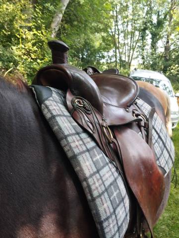 Sella da trekking  Cathare chez Courtois  17.5" - 2015