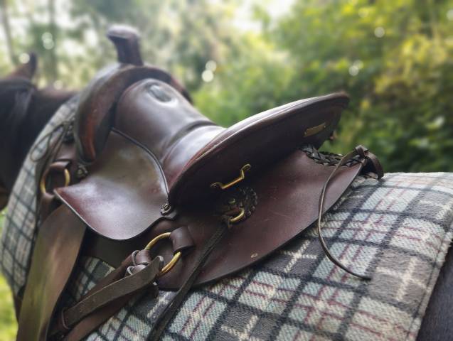 Sella da trekking  Cathare chez Courtois  17.5" - 2015