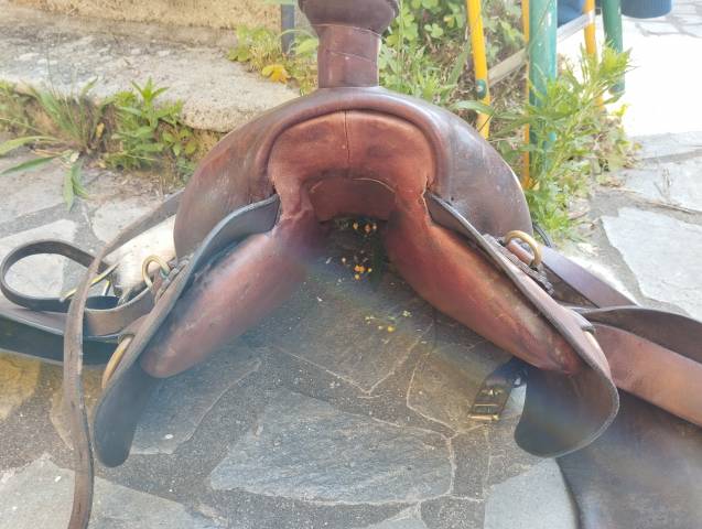 Sella da trekking  Cathare chez Courtois  17.5" - 2015