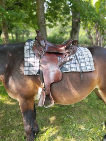 Sella da trekking  Cathare chez Courtois  17.5" - 2015