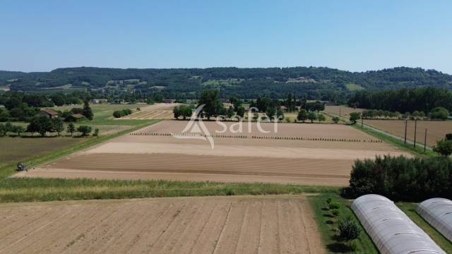 Azienda orticoltrice In vendita Lot-et-Garonne