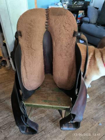 Sella australiana  Australienne  17.5" - 2018