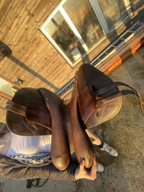 Sella da cross Tolga Mono quartier  17.5" - 2014