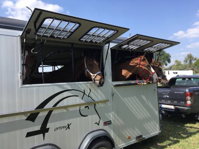 Trailer Cheval Liberté Optimax  4 Cavalli 2018 Occasione