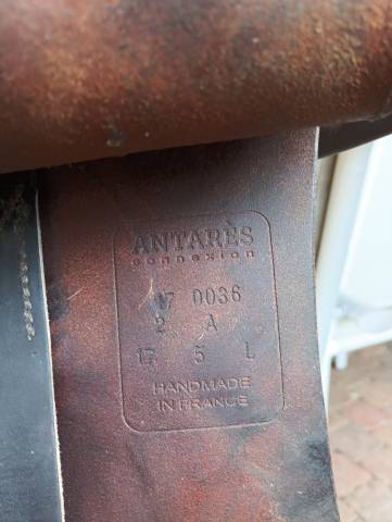 Sella da salto ostacoli Antar&egrave;s  17.5" - 2017