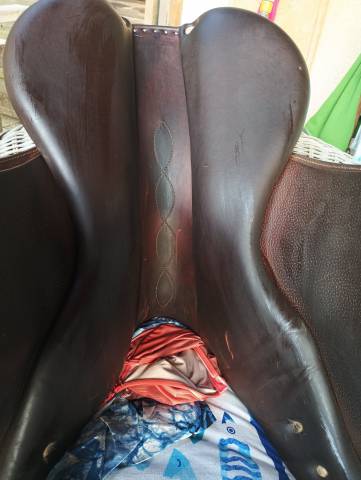 Sella da salto ostacoli Antar&egrave;s  17.5" - 2017