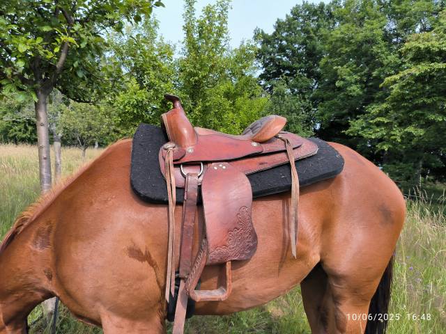 Sella western Barnes  17" - 2000