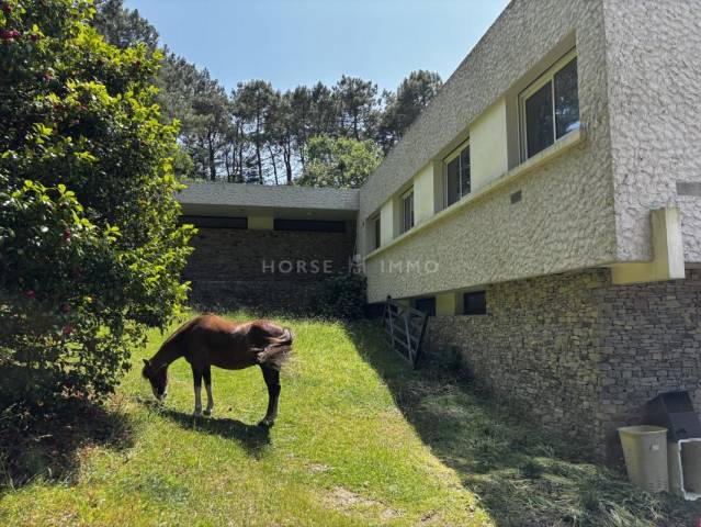 Proprietà equestre In vendita Morbihan